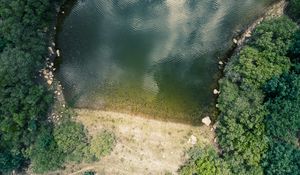 Preview wallpaper shore, pond, trees, aerial view