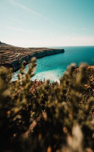 Preview wallpaper shore, sea, cliff, stone, water, plants