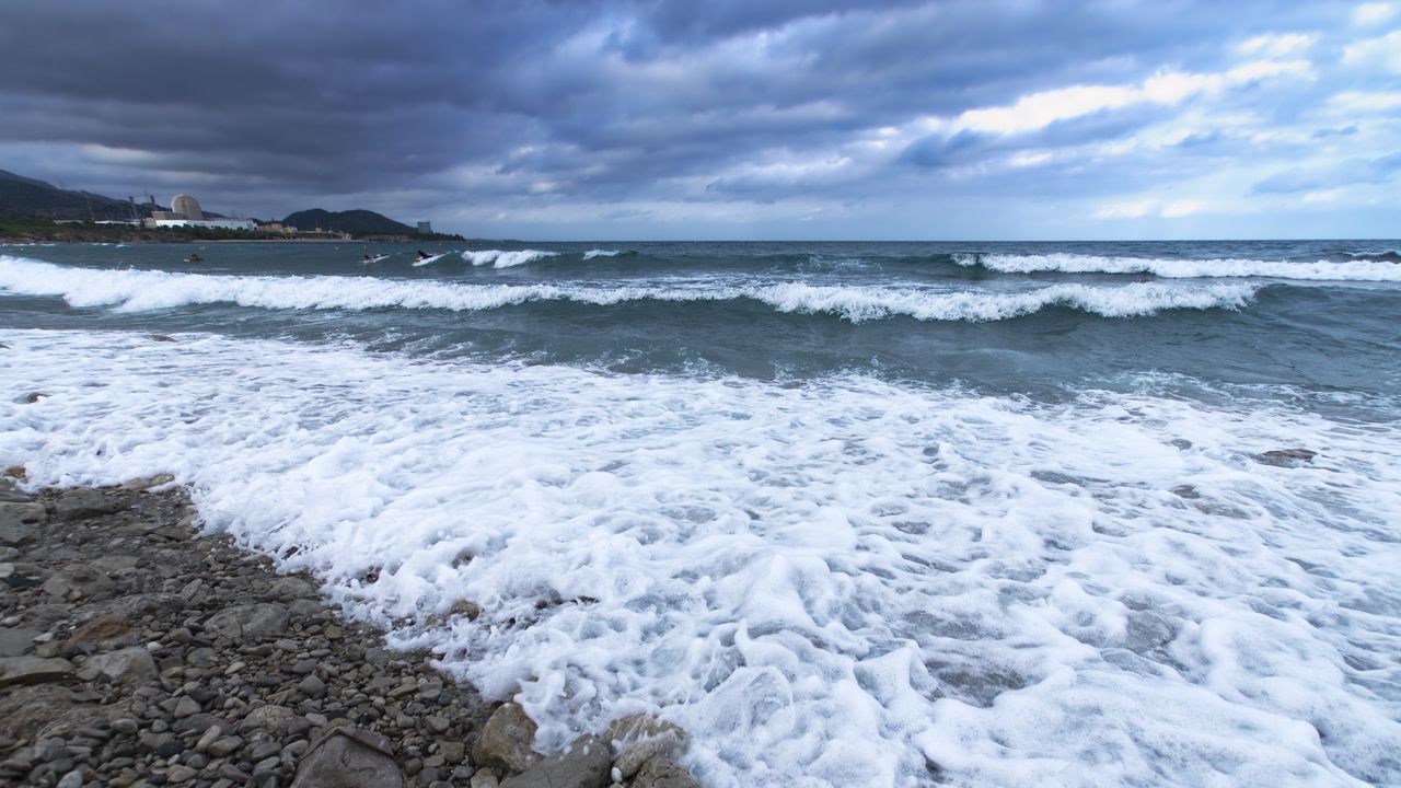 Wallpaper shore, sea, waves, horizon, surfers, landscape