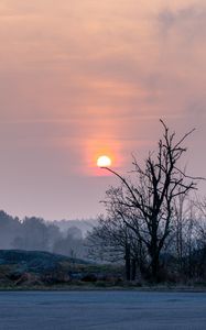 Preview wallpaper shore, trees, lake, fog, sun, sunset