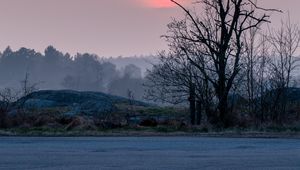 Preview wallpaper shore, trees, lake, fog, sun, sunset