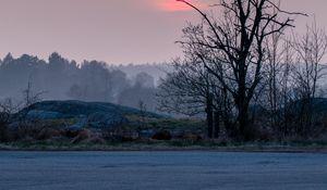 Preview wallpaper shore, trees, lake, fog, sun, sunset