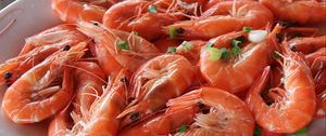 Preview wallpaper shrimps, greens, boiled