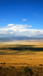 Preview wallpaper shroud, distance, open space, expanse, field, steppe, river, bushes, clouds, sky