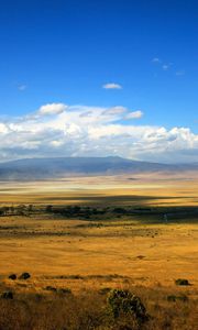 Preview wallpaper shroud, distance, open space, expanse, field, steppe, river, bushes, clouds, sky