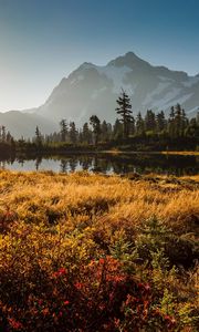 Preview wallpaper shuksan, cascade mountains, washington, grass, sky