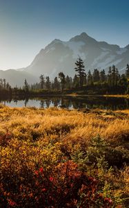 Preview wallpaper shuksan, cascade mountains, washington, grass, sky