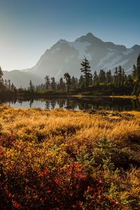 Preview wallpaper shuksan, cascade mountains, washington, grass, sky