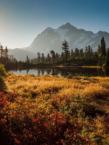 Preview wallpaper shuksan, cascade mountains, washington, grass, sky