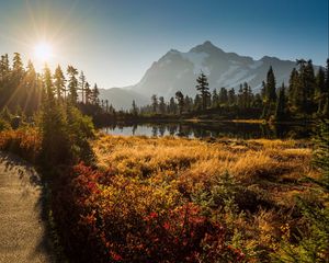 Preview wallpaper shuksan, cascade mountains, washington, grass, sky