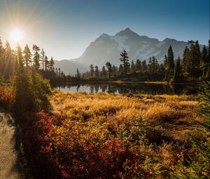 Preview wallpaper shuksan, cascade mountains, washington, grass, sky