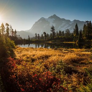 Preview wallpaper shuksan, cascade mountains, washington, grass, sky