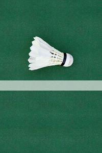 Preview wallpaper shuttlecock, badminton, cover, marking, sport, sports