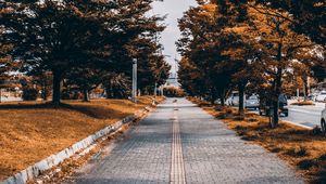 Preview wallpaper sidewalk, trees, alley, street