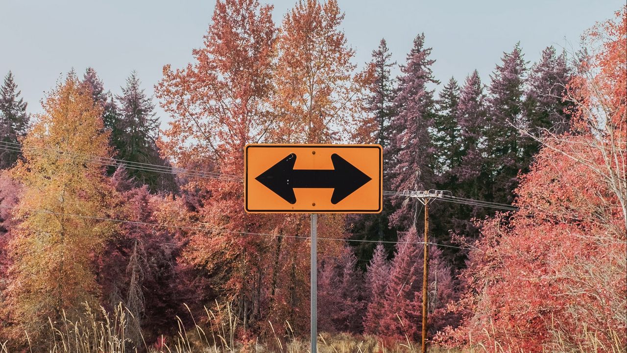 Wallpaper sign, arrows, trees, road, autumn