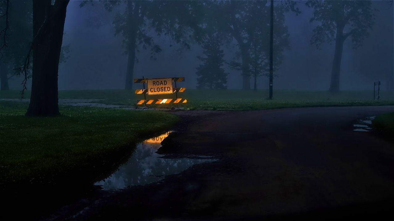 Wallpaper sign, forest, puddle, evening, dark