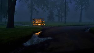 Preview wallpaper sign, forest, puddle, evening, dark
