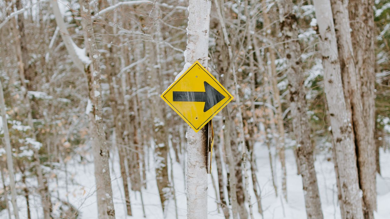 Wallpaper sign, pointer, tree, forest, winter