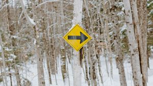 Preview wallpaper sign, pointer, tree, forest, winter