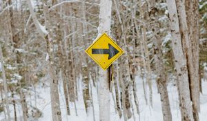 Preview wallpaper sign, pointer, tree, forest, winter