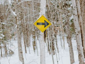 Preview wallpaper sign, pointer, tree, forest, winter