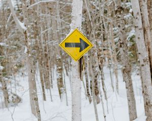 Preview wallpaper sign, pointer, tree, forest, winter