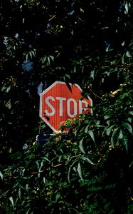 Preview wallpaper sign, stop, caution, inscription, bushes, trees