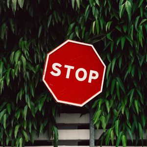 Preview wallpaper sign, stop, foliage, fence