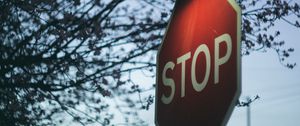 Preview wallpaper sign, stop, lantern, branch