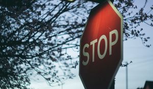 Preview wallpaper sign, stop, lantern, branch