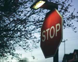 Preview wallpaper sign, stop, lantern, branch