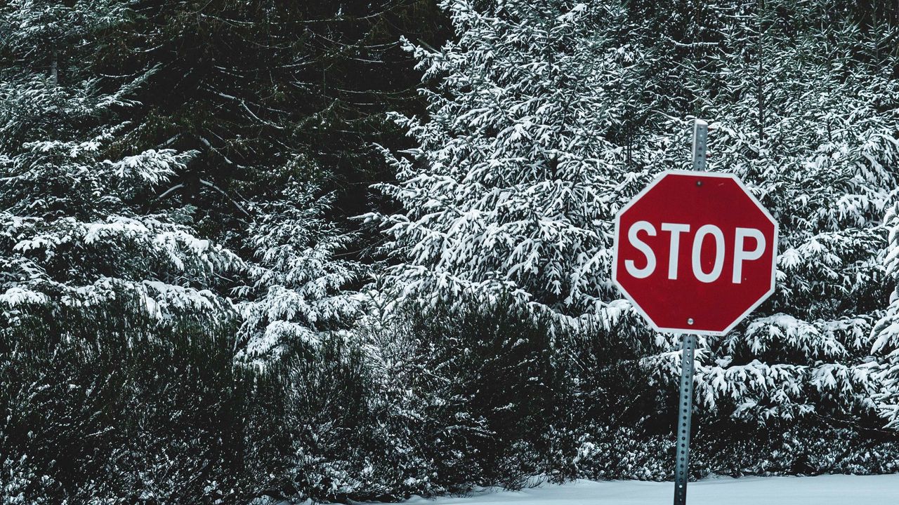 Wallpaper sign, stop, snow, trees, nature