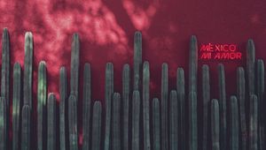 Preview wallpaper signboard, neon, cacti, inscription, red