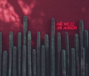 Preview wallpaper signboard, neon, cacti, inscription, red