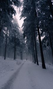 Preview wallpaper silhouette, alone, forest, fog, snow
