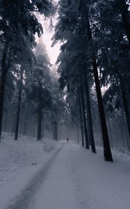 Preview wallpaper silhouette, alone, forest, fog, snow