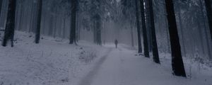 Preview wallpaper silhouette, alone, forest, fog, snow