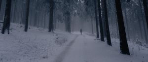 Preview wallpaper silhouette, alone, forest, fog, snow