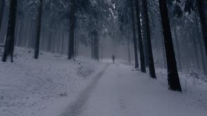 Preview wallpaper silhouette, alone, forest, fog, snow