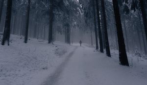 Preview wallpaper silhouette, alone, forest, fog, snow