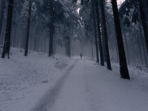 Preview wallpaper silhouette, alone, forest, fog, snow