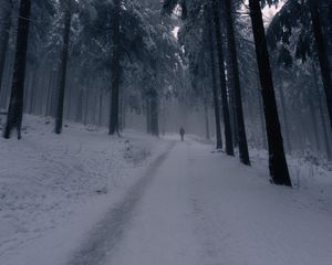 Preview wallpaper silhouette, alone, forest, fog, snow