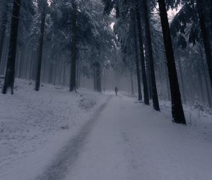 Preview wallpaper silhouette, alone, forest, fog, snow