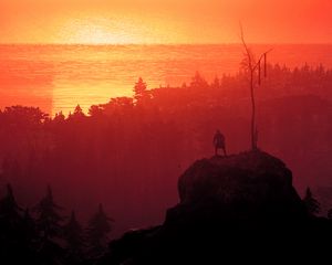 Preview wallpaper silhouette, alone, mountain, trees, sunset, dark