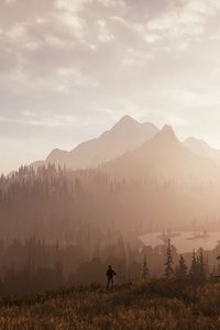 Preview wallpaper silhouette, alone, mountains, trees, nature