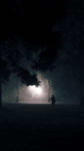 Preview wallpaper silhouette, alone, night, fog, light