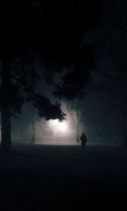 Preview wallpaper silhouette, alone, night, fog, light
