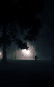 Preview wallpaper silhouette, alone, night, fog, light