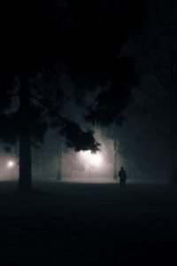 Preview wallpaper silhouette, alone, night, fog, light