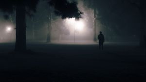 Preview wallpaper silhouette, alone, night, fog, light